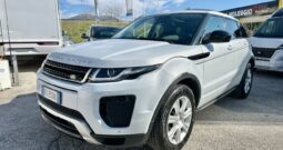 WhatsApp Image 2025-02-06 at 12.10.09