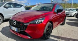 WhatsApp Image 2026-02-24 at 11.49.59